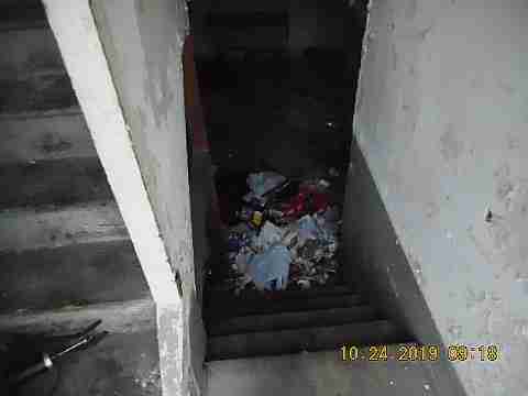 14036 Marlowe (6)_m.jpg